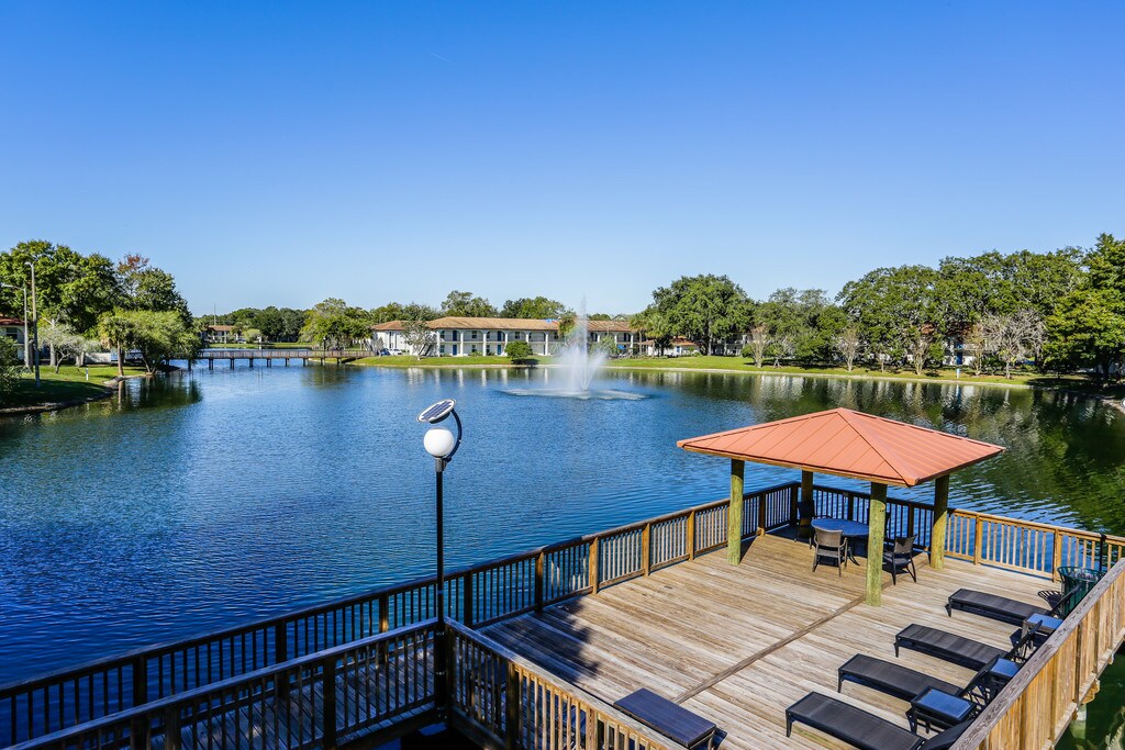 ULake Student Spaces Apartments Tampa, FL Apartments For Rent