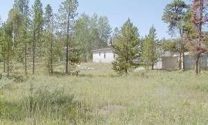 303 Co Rd 445 in Grand Lake, CO - Building Photo - Building Photo