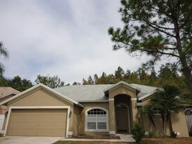 13503 Ironton Dr in Tampa, FL - Building Photo