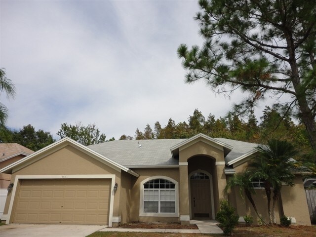13503 Ironton Dr in Tampa, FL - Building Photo