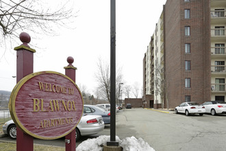 Blawnox Apartments in Pittsburgh, PA - Building Photo - Building Photo