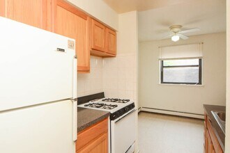 533 W Aldine in Chicago, IL - Building Photo - Building Photo
