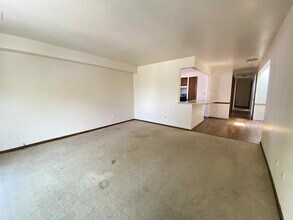 919 S Carpenter St in Chicago, IL - Building Photo - Building Photo
