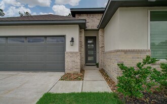 10011 Angelina Wds Ln in Conroe, TX - Building Photo