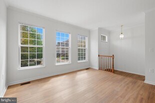 14666 Seasons Dr in Centreville, VA - Building Photo