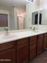 46058 W Tulip Ln in Maricopa, AZ - Building Photo - Building Photo