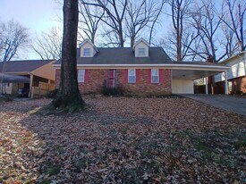 3093 E Raines Rd in Memphis, TN - Building Photo