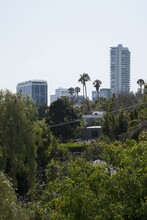 Sunset View Apartments in Los Angeles, CA - Foto de edificio - Building Photo