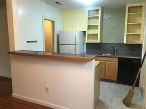 1005 NE 7 Pl in Gainesville, FL - Building Photo - Building Photo