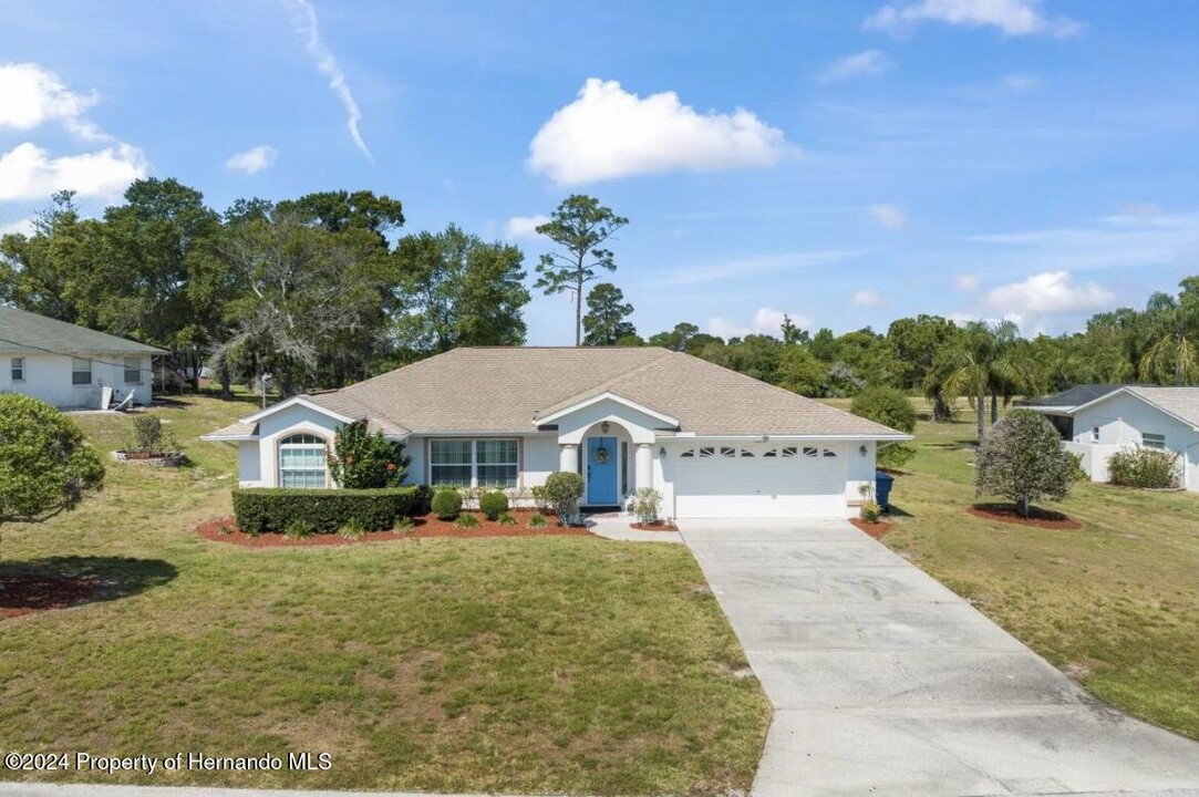 10201 Sunburst Ct in Spring Hill, FL - Building Photo