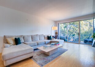 900 Euclid St in Santa Monica, CA - Foto de edificio - Building Photo