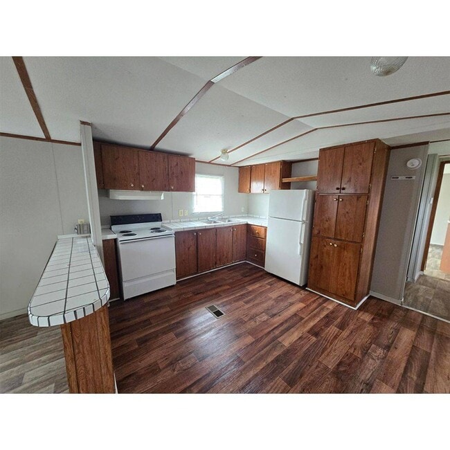313 Reid Ct in Dillon, SC - Building Photo - Building Photo