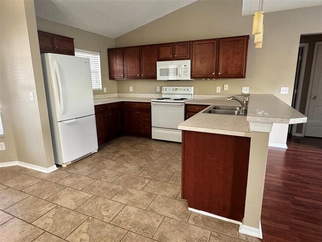 918 Cork Oak Ln in Minneola, FL - Building Photo - Building Photo