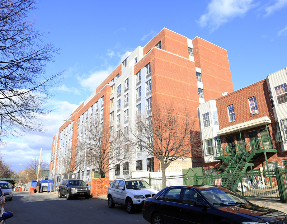 The Hemlock in Bronx, NY - Building Photo