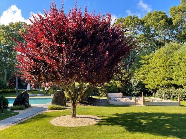 138 Merchants Path in Sagaponack, NY - Building Photo - Building Photo