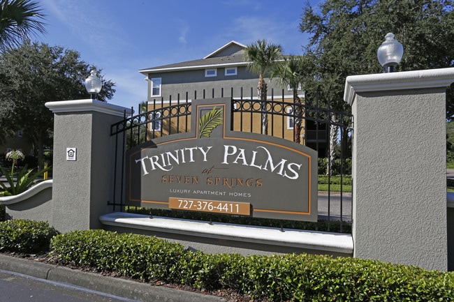 Trinity Palms at Seven Springs