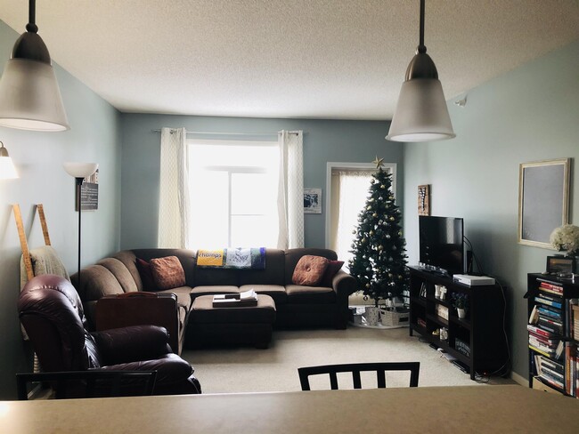 property at 649 Old Hwy 8