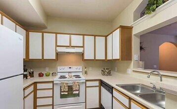 25455 Borough Park Dr in Spring, TX - Building Photo - Building Photo