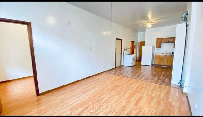 725 N Ada St in Chicago, IL - Building Photo - Building Photo
