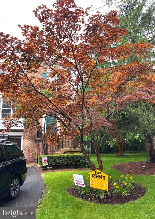 5144 Woodfield Dr in Centreville, VA - Building Photo - Building Photo