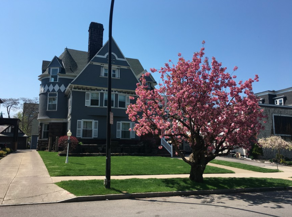 Summer St Apartments in Buffalo, NY - Foto de edificio