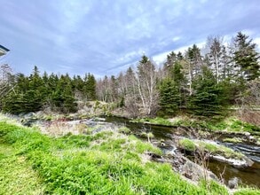 315 Waterford Bridge Rd in St John's, NL - Building Photo - Building Photo