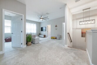 10238 Blossom Trail in Seminole, FL - Building Photo - Building Photo