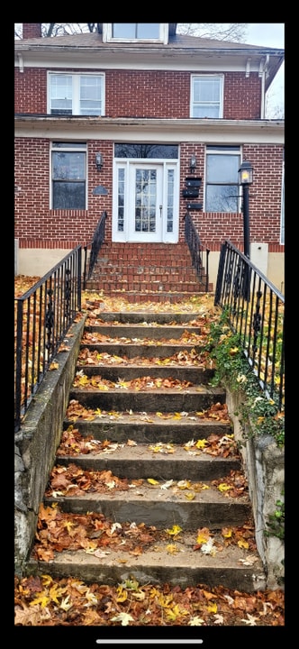 425 Pine Ave in Waynesboro, VA - Building Photo