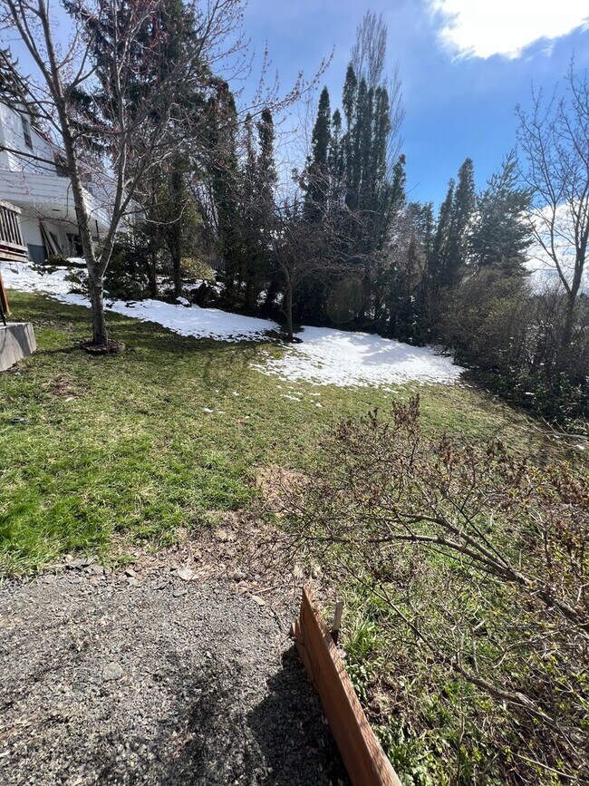 1065 NE Indiana St in Pullman, WA - Building Photo - Building Photo