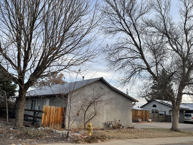 1910 S Decatur St in Denver, CO - Building Photo - Building Photo