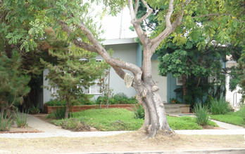 Loring Street Villas in Pacific Beach, CA - Building Photo - Building Photo