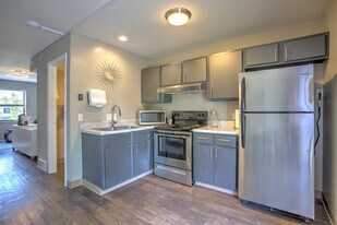 The Mint Townhomes in St. Louis, MO - Building Photo