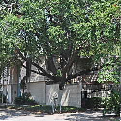 1407 Missouri St in Houston, TX - Building Photo - Building Photo