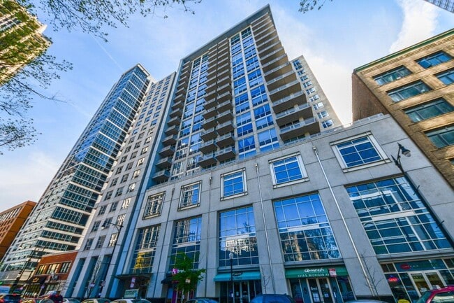 property at 1305 S Michigan Ave