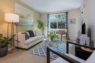 431 El Camino Real in Santa Clara, CA - Building Photo