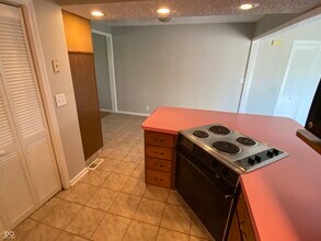 1036 E Auman Dr in Carmel, IN - Building Photo - Building Photo