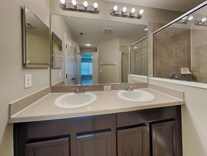 7914 Forest Mere Dr in Riverview, FL - Building Photo - Building Photo
