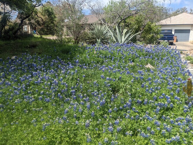 8513 Bargamin Dr in Austin, TX - Building Photo - Building Photo