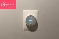 19 Wallingford Rd - 20