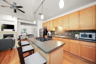 910 S Michigan Ave, Unit 519 in Chicago, IL - Foto de edificio - Building Photo
