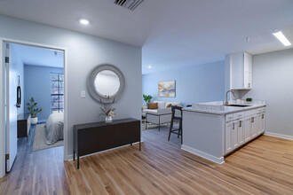 Hamilton Square Residential in Paterson, NJ - Building Photo - Building Photo