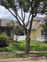 1517 Cotton Gin Dr in Savannah, TX - Building Photo - Building Photo