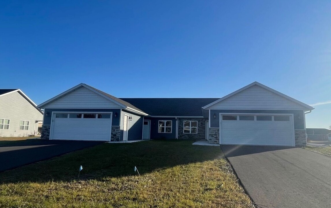 1005 Morning Star Ln in Plover, WI - Building Photo