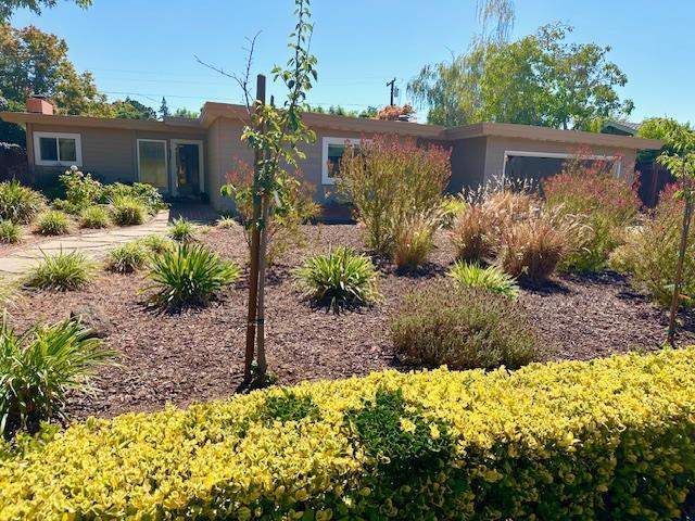 262 Angela Dr in Los Altos, CA - Building Photo