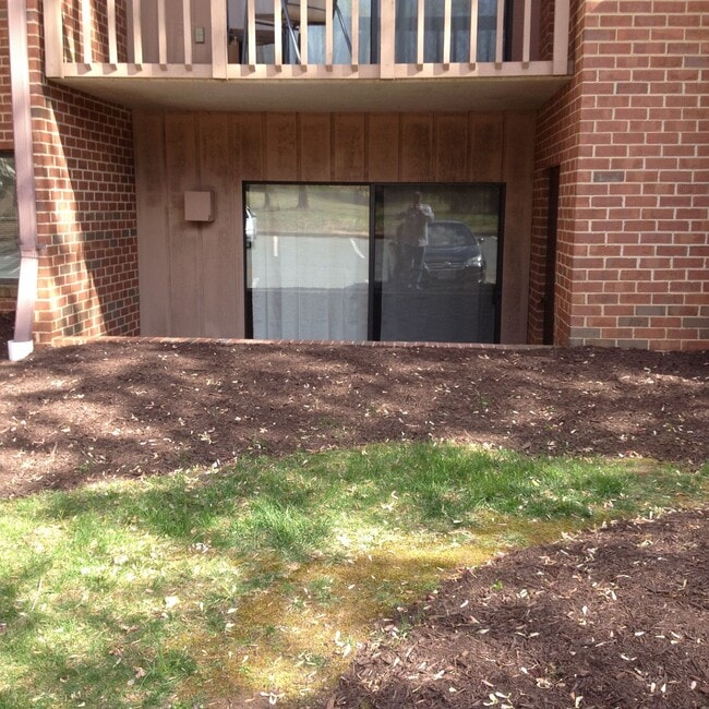 141 Green Turtle Ln in Charlottesville, VA - Building Photo - Building Photo