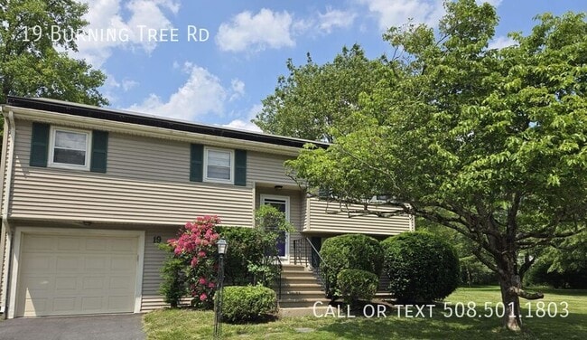 property at 19 Burning Tree Rd