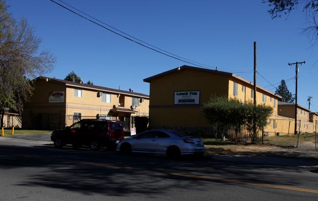 Laurel Tree Apartments in Beaumont, CA - Building Photo - Building Photo