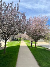 5053 56th St NW in Rochester, MN - Building Photo - Building Photo