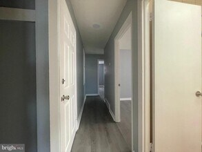 2331 Hoffnagle St in Philadelphia, PA - Building Photo - Building Photo