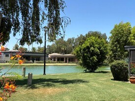 379 Leisure World in Mesa, AZ - Building Photo